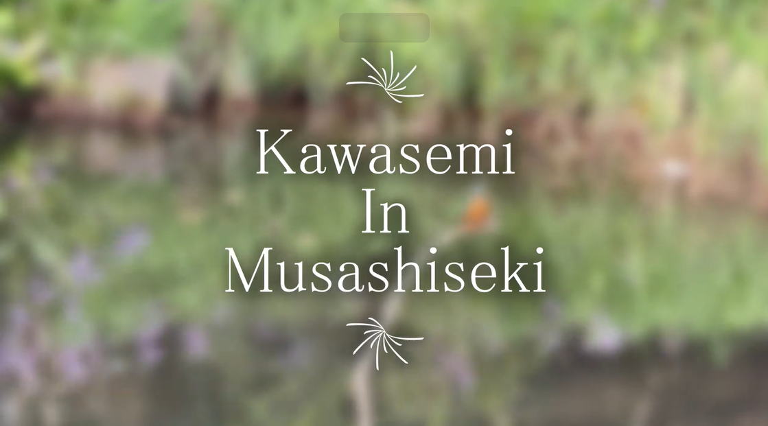 スマホとパソコン動画編集