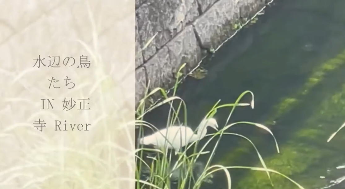 スマホとパソコン動画編集